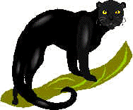 pant.gif (10310 bytes)